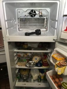 WhatsApp Image 2023-03-28 at 13.55.44