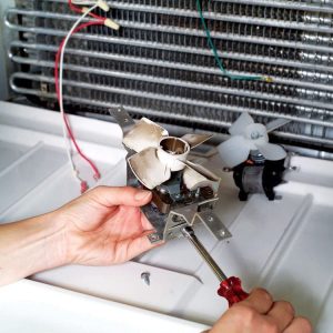 WhatsApp Image 2023-03-28 at 13.55.45