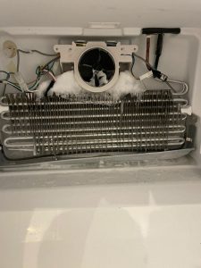 WhatsApp Image 2023-03-28 at 13.55.46