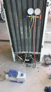 WhatsApp Image 2023-03-28 at 13.55.48 (1)